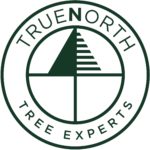 True North Tree Expert 